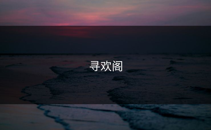 寻欢阁 寻欢阁