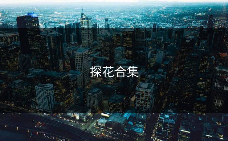 探花合集