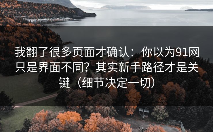 我翻了很多页面才确认:你以为91网只是界面不同?其实新手路径才是关键(细节决定一切) 我翻了很多页面才确认:你以为91网只是界面不同?其实新手路径才是关键(细节决定一切)